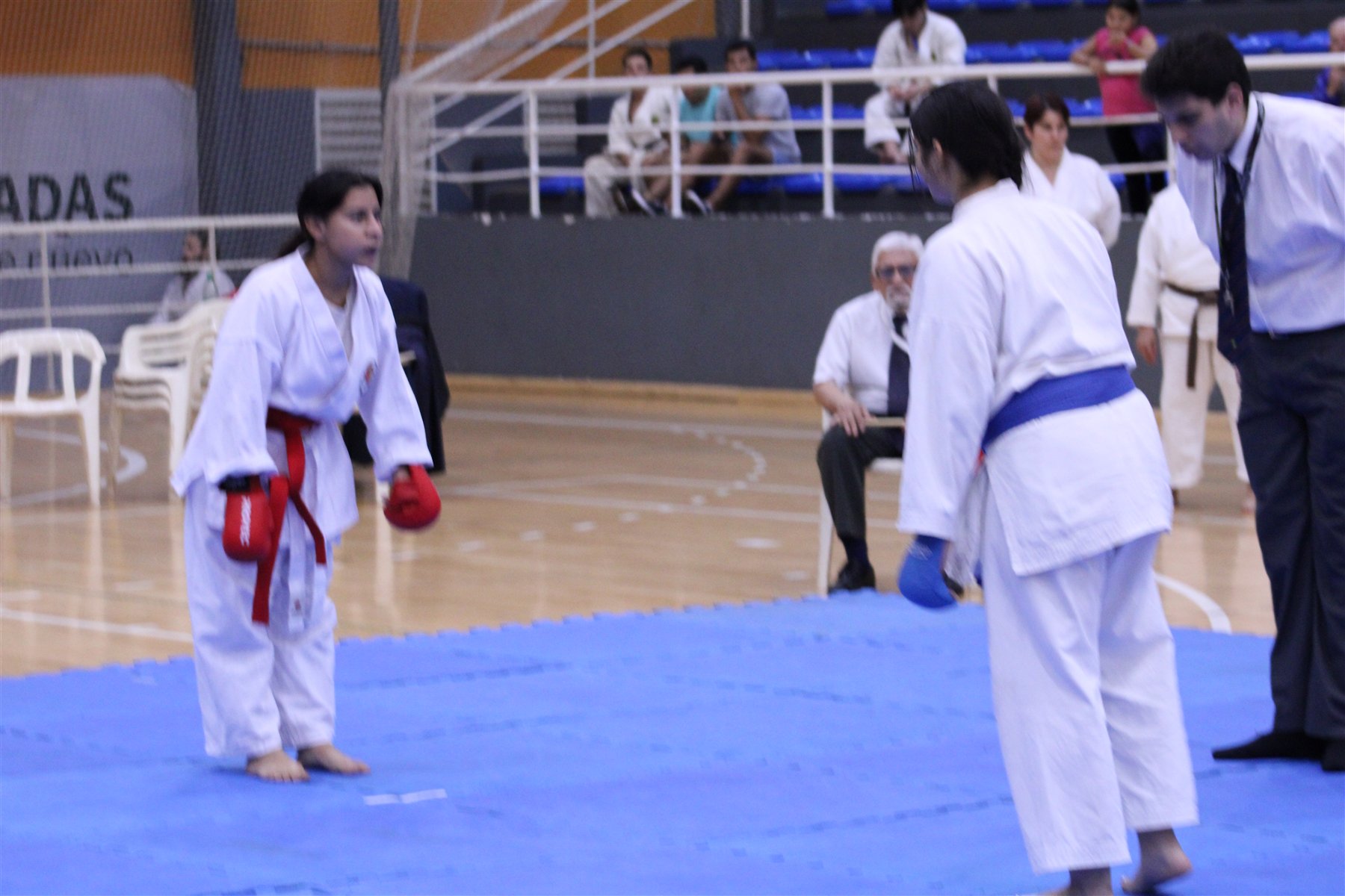 Participantes practicando karate sobre el tatami